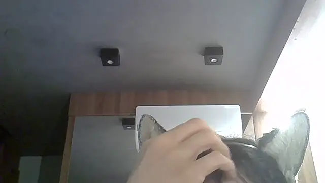 Snapshot of Skinny-Kitten chatting on February 2026 01:36:01 AM Skinny-Kitten online show from February 2026 01:36:01 AM