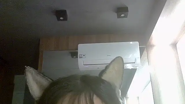 Skinny-Kitten online show from June 2026 04:07:01 PM
