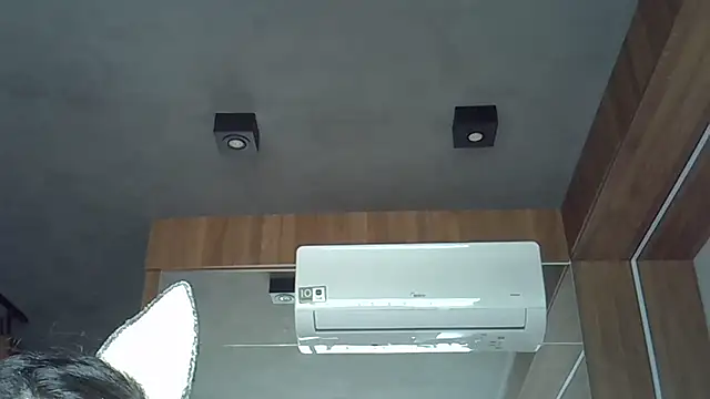 Skinny-Kitten online show from October 2025 12:38:02 PM