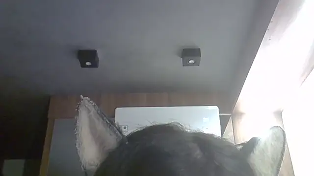 Skinny-Kitten online show from April 2026 01:18:02 AM