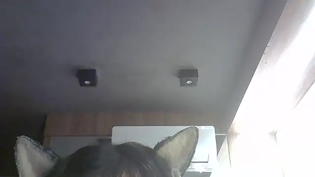 Skinny-Kitten online show from March 2026 04:47:02 AM