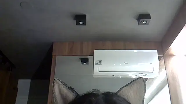 Skinny-Kitten online show from October 2025 01:40:02 AM