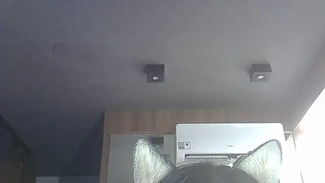 Skinny-Kitten online show from December 2025 11:14:02 PM