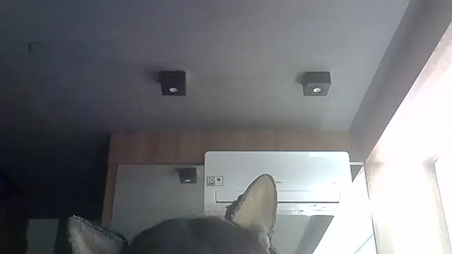 Skinny-Kitten online show from June 2026 12:10:02 AM