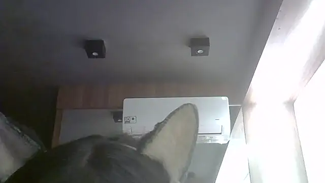 Skinny-Kitten online show from May 2026 08:51:01 PM