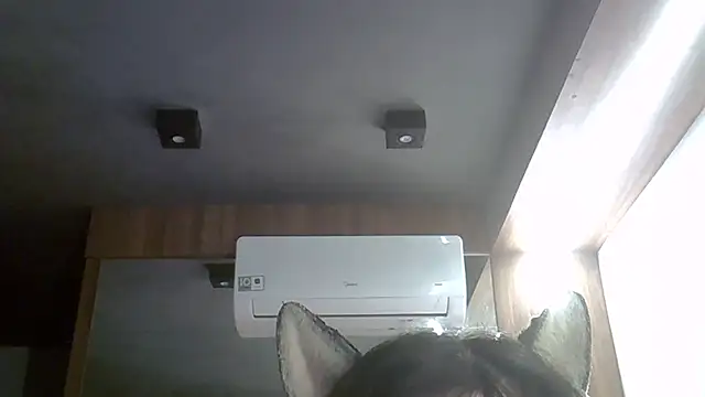 Skinny-Kitten online show from April 2026 09:38:01 AM