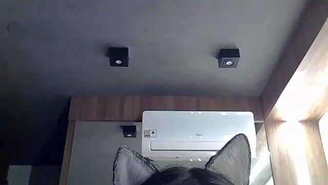 Snapshot of Skinny-Kitten chatting on January 2026 11:00:01 PM Skinny-Kitten online show from January 2026 11:00:01 PM