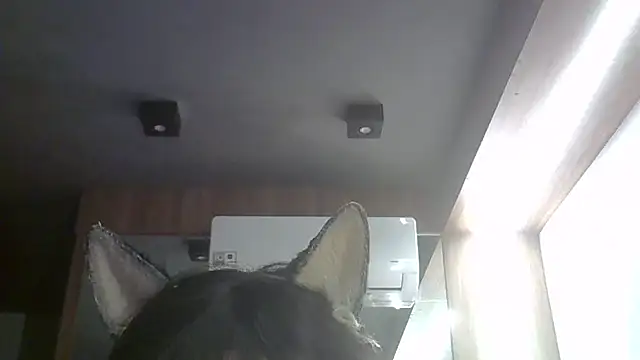 Skinny-Kitten online show from May 2026 02:59:02 PM
