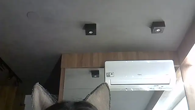 Skinny-Kitten online show from November 2025 02:26:02 AM