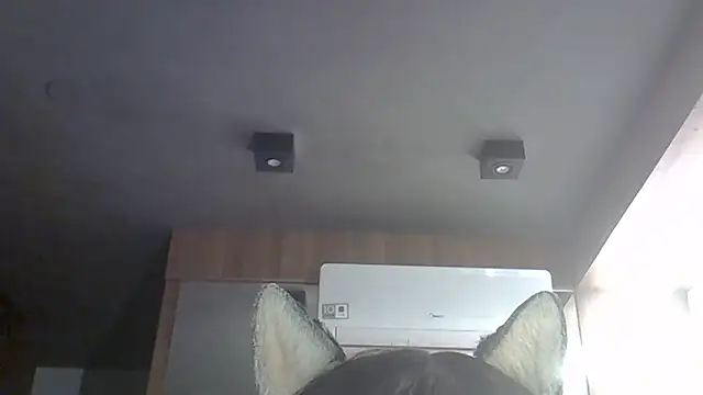 Skinny-Kitten online show from May 2026 01:06:02 AM