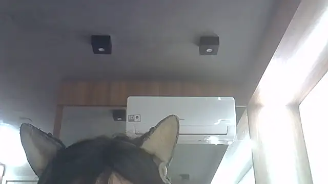 Skinny-Kitten online show from June 2026 05:23:02 AM