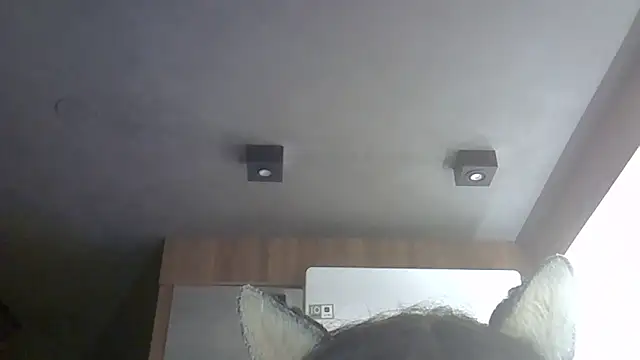 Skinny-Kitten online show from June 2026 11:19:01 AM