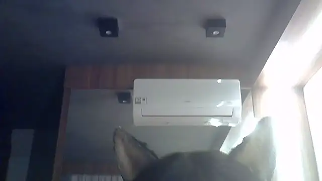 Skinny-Kitten online show from June 2026 01:50:01 PM