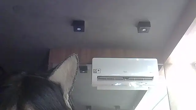 Snapshot of Skinny-Kitten chatting on February 2026 06:35:01 PM Skinny-Kitten online show from February 2026 06:35:01 PM