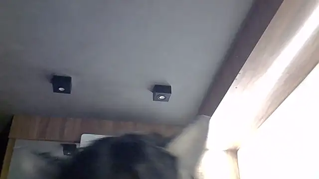 Skinny-Kitten online show from March 2026 04:52:01 PM