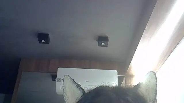 Skinny-Kitten online show from April 2026 12:34:02 AM