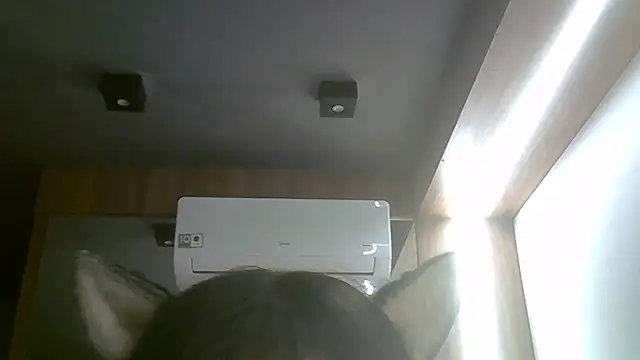 Skinny-Kitten online show from June 2026 08:47:01 AM