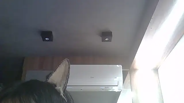 Snapshot of Skinny-Kitten chatting on February 2026 01:41:02 PM Skinny-Kitten online show from February 2026 01:41:02 PM