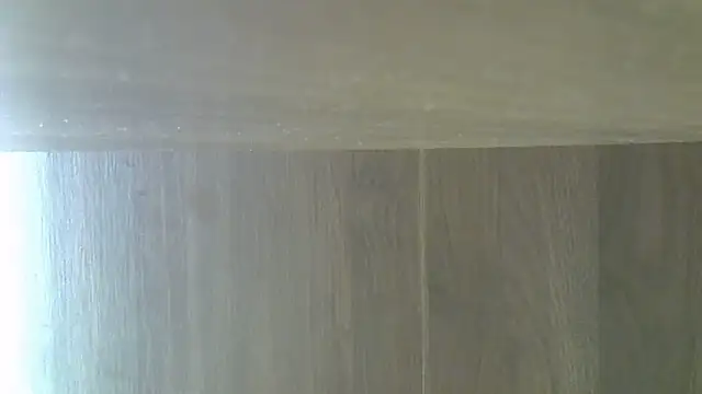 Snapshot of Skinny-Kitten chatting on December 2025 03:33:01 AM Skinny-Kitten online show from December 2025 03:33:01 AM