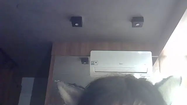Skinny-Kitten online show from May 2026 11:16:02 AM