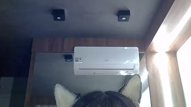 Skinny-Kitten online show from June 2026 11:38:02 AM