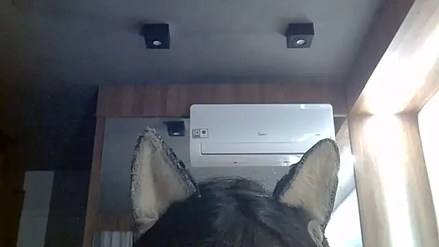 Skinny-Kitten online show from June 2026 02:06:01 PM