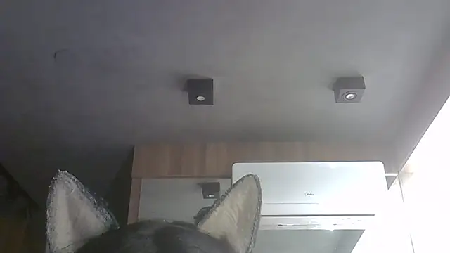 Snapshot of Skinny-Kitten chatting on February 2026 04:39:01 PM Skinny-Kitten online show from February 2026 04:39:01 PM