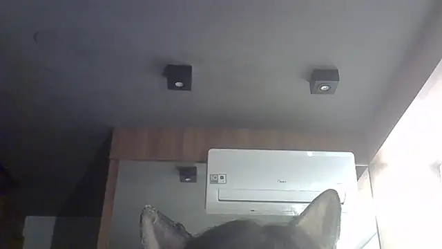 Snapshot of Skinny-Kitten chatting on February 2026 11:59:01 PM Skinny-Kitten online show from February 2026 11:59:01 PM