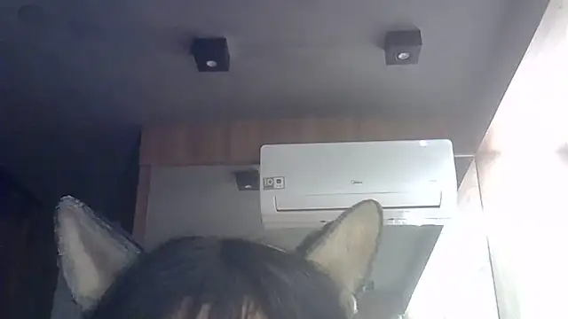 Skinny-Kitten online show from July 2026 02:34:01 AM