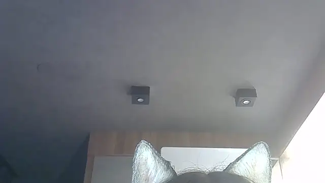 Skinny-Kitten online show from December 2025 01:44:01 AM