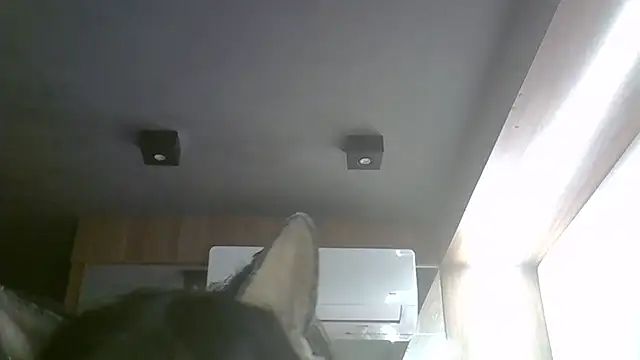 Skinny-Kitten online show from May 2026 11:10:02 AM