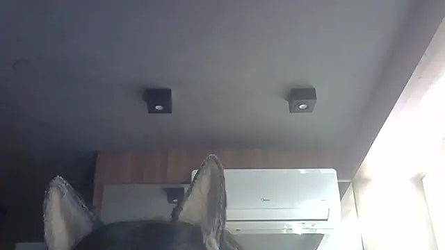 Snapshot of Skinny-Kitten chatting on February 2026 02:44:02 AM Skinny-Kitten online show from February 2026 02:44:02 AM