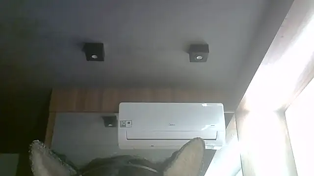 Skinny-Kitten online show from June 2026 01:45:02 AM