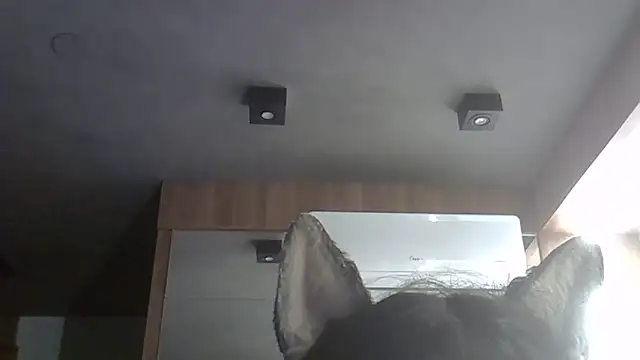 Snapshot of Skinny-Kitten chatting on February 2026 10:24:02 AM Skinny-Kitten online show from February 2026 10:24:02 AM