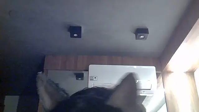 Skinny-Kitten online show from July 2026 07:42:02 AM
