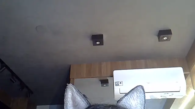 Skinny-Kitten online show from November 2025 05:17:02 PM