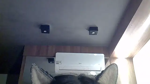 Skinny-Kitten online show from May 2026 02:36:01 PM