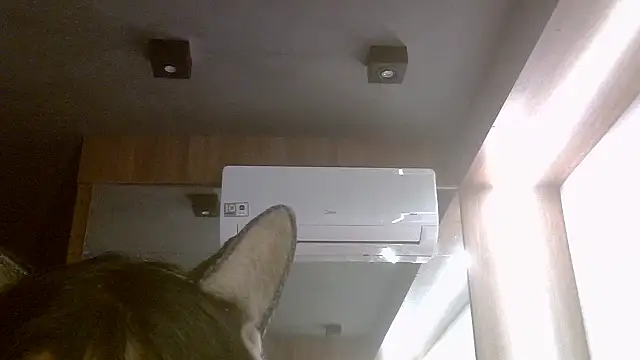 Skinny-Kitten online show from July 2026 07:39:02 PM