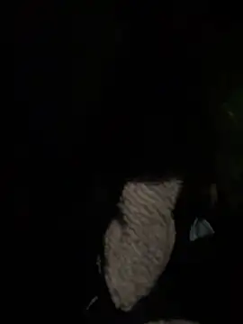 prekumstud online show from April 2026 04:08:01 PM