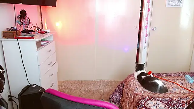 alisseallie online show from March 2026 02:32:01 PM