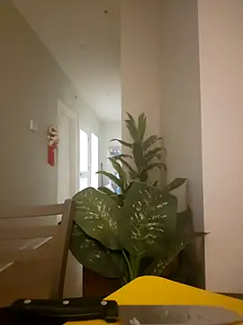 lofibunni online show from March 2026 06:42:02 PM