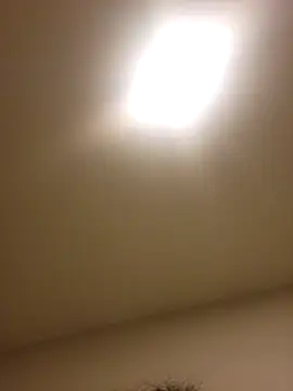 lofibunni online show from February 2026 03:29:02 AM