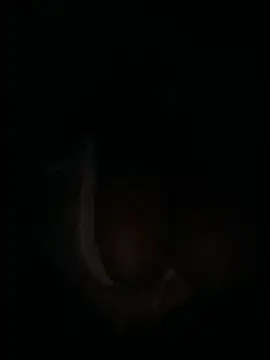 m yummyshish online show from April 2026 01:30:02 AM