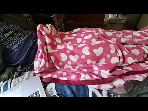 cocklovesboobs00077 online show from December 2025 09:00:01 AM