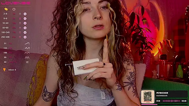 IttyKitty online show from February 2026 11:59:02 PM