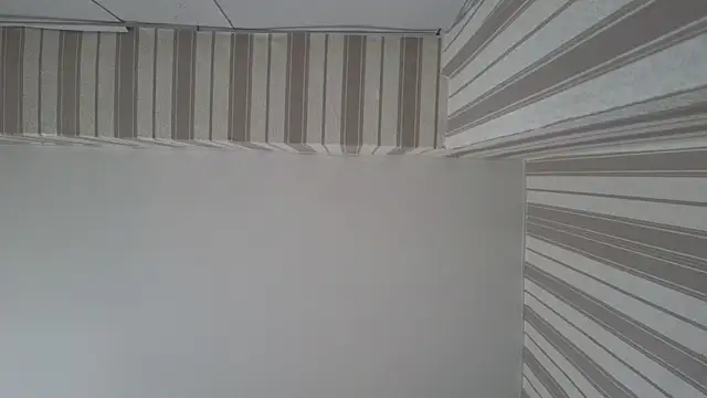 lily  foster online show from September 2025 05:46:01 AM