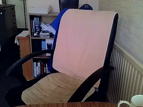 daddyflash online show from March 2026 09:58:02 AM