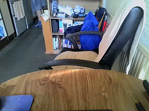 daddyflash online show from February 2026 11:32:01 AM