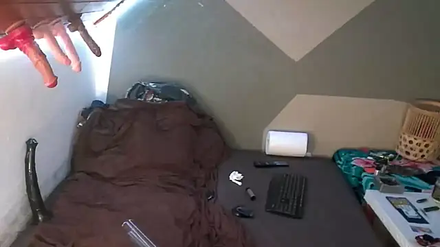 Snapshot of BigTail_CZ chatting on September 2025 02:46:02 PM BigTail CZ online show from September 2025 02:46:02 PM