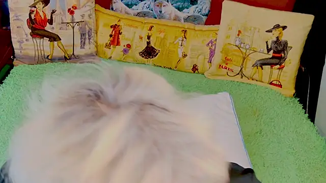 stiphlermom online show from November 2025 03:34:02 PM